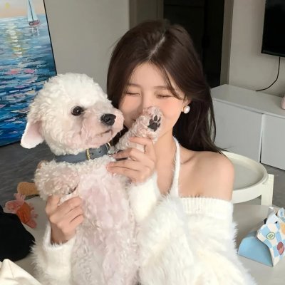 兔子镇的火狐狸
