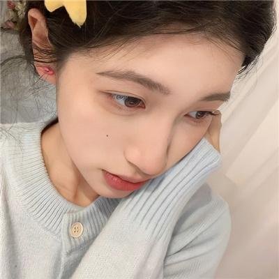 豆豆猫